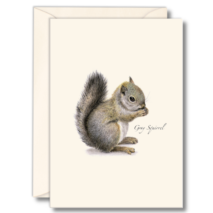 8-Piece Notecard Set: Gray Squirrel
