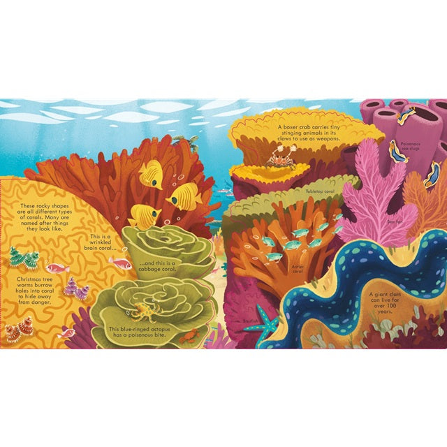 Look Inside Seas and Oceans Book, Usborne