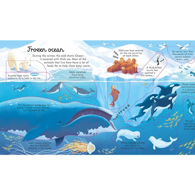 Look Inside Seas and Oceans Book, Usborne