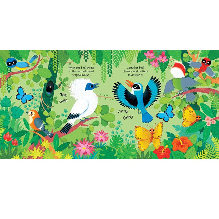 Zoo Sounds Children's Book, Usborne