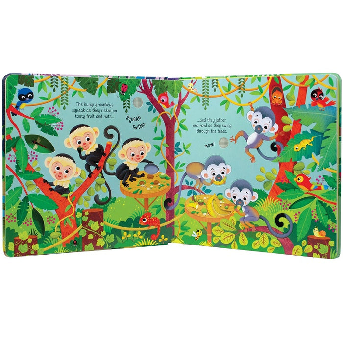 Zoo Sounds Children's Book, Usborne