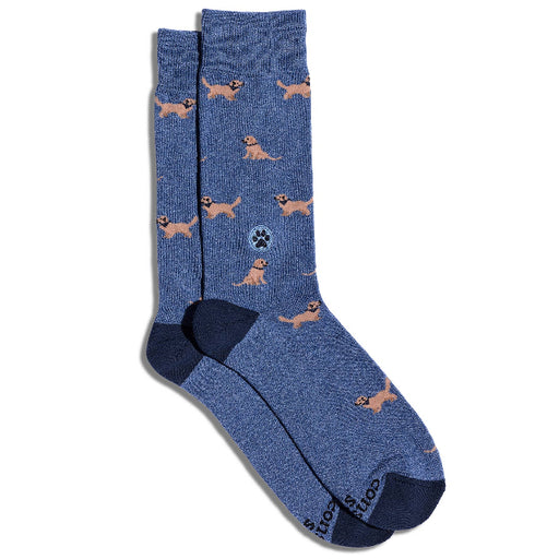 Socks that Save Dogs | Golden Retrievers