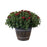 Whiskey Barrel Annual Patio Pot, 9-Inch