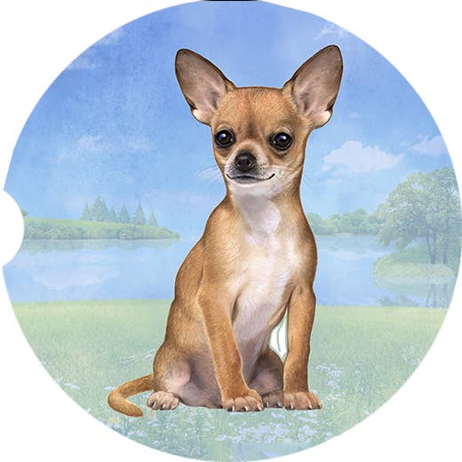 Chihuahua, Tan Car Coaster