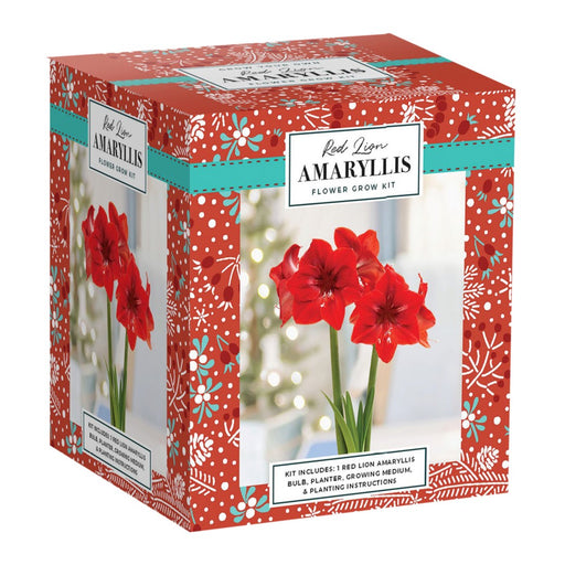 Red Lion Amaryllis Flower Grow Kit