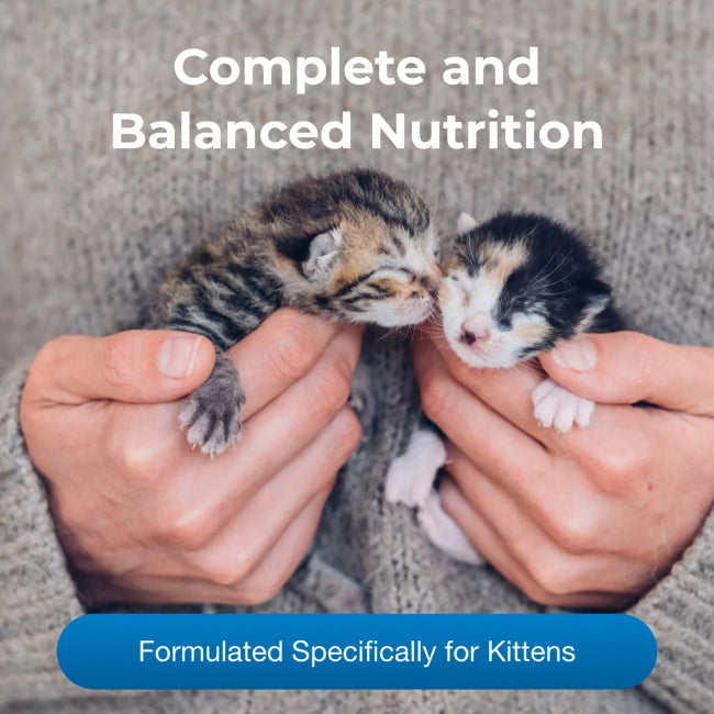 KMR Kitten Milk Replacer Liquid 16 oz