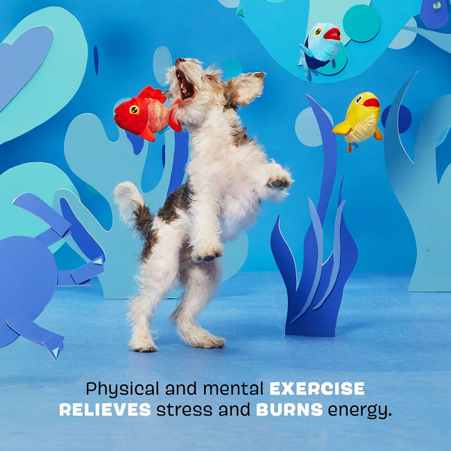 Bark The Groupers 3-in-1 Squeaky Plush Dog Toy