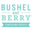 Baby Cakes™ Dwarf Thornless Blackberry Bush, 2-Gallon