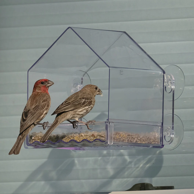 Nature's Way Clear View Window Bird Feeder