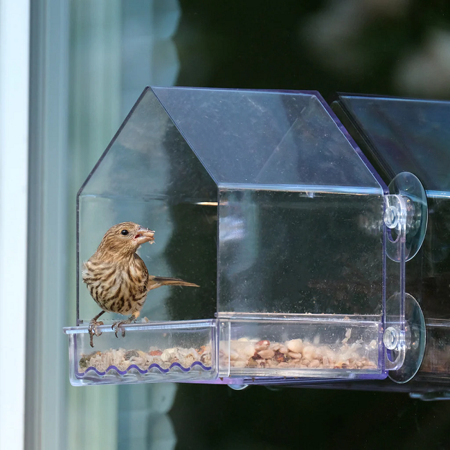 Nature's Way Clear View Window Bird Feeder