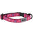 RC Pets Breakaway Kitty Collar - Tracks, Pink