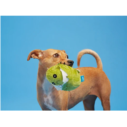 Bark Consuela the Cactus