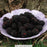 Chester Blackberry Bush, 2-Gallon