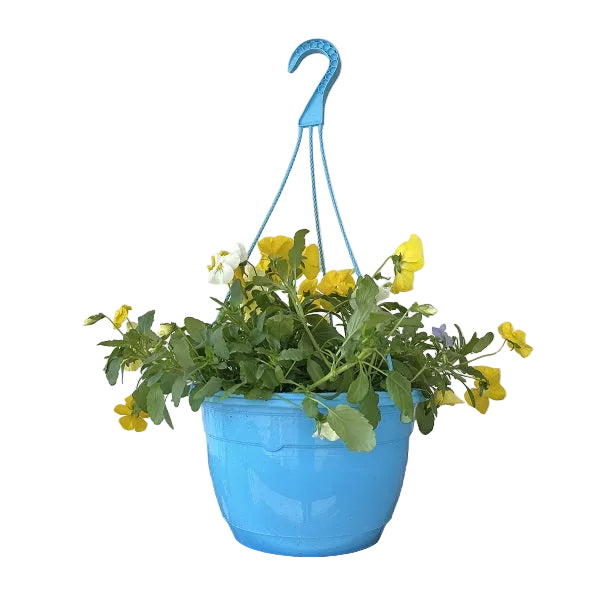 Flowering Hanging Basket, Color Bright Pot 11-Inch