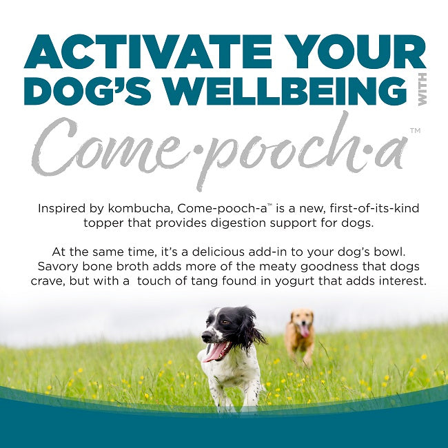 Nutrisource Dog Come·pooch·a Chicken Bone Broth 12oz