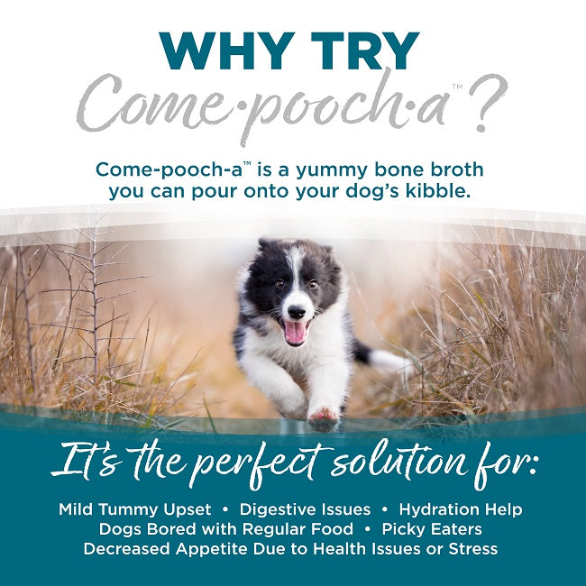 Nutrisource Dog Come·pooch·a Chicken Bone Broth 12oz