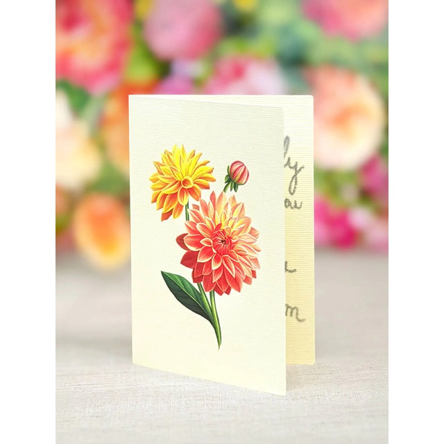 FreshCut Paper Pop Up Mini Sunrise Dahlia 3D Greeting Card