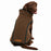 Eddie Bauer Clearwater Boucle Dog Vest Reversible, Rust