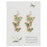 Butterfly Flock Dried Flower Gold Earrings