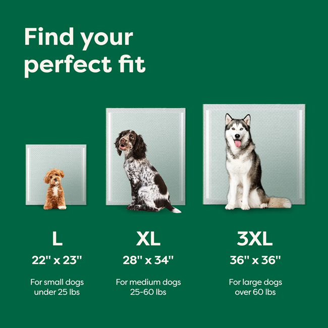 Dog Pee Pads with AbsorbShield™ Technology X-Large 28" x 34"