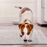 Dog Pee Pads with AbsorbShield™ Technology X-Large 28" x 34"