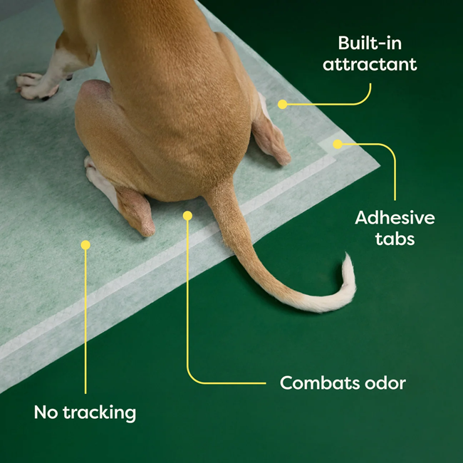 Dog Pee Pads with AbsorbShield™ Technology X-Large 28" x 34"