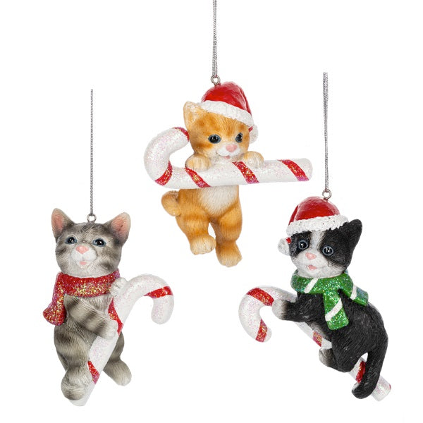 Candy Cane Cat Ornament, Assorted