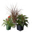 Fall Annual or Perennial, 4-Inch Pot