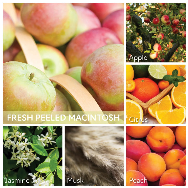 Keepers of the Light Candle, Fresh Macintosh Mama Jar