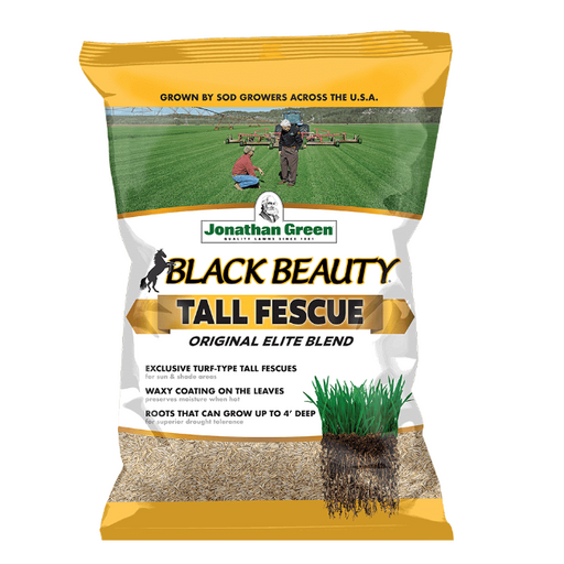 Jonathan Green Black Beauty Tall Fescue Grass Seed