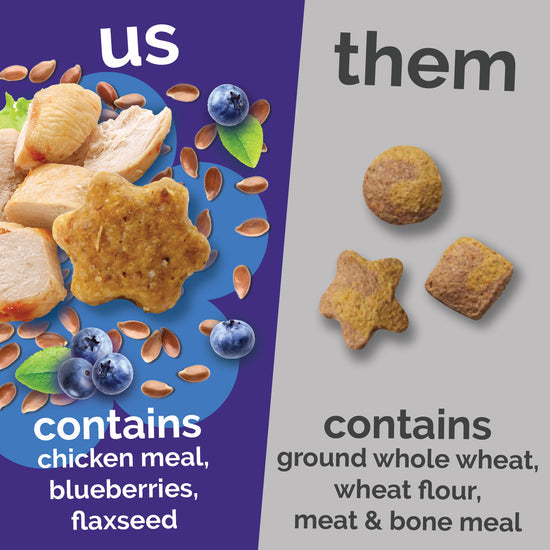 Fruitables Chicken Blueberry Cat Treats 2.5 oz