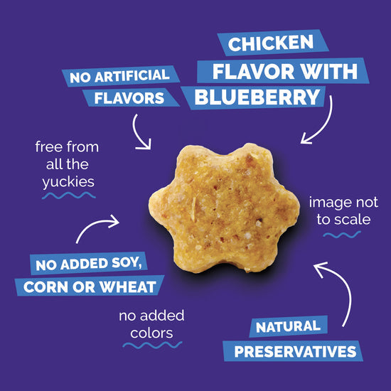 Fruitables Chicken Blueberry Cat Treats 2.5 oz