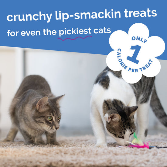 Fruitables Chicken Blueberry Cat Treats 2.5 oz