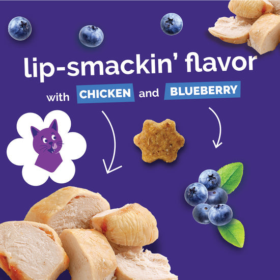 Fruitables Chicken Blueberry Cat Treats 2.5 oz