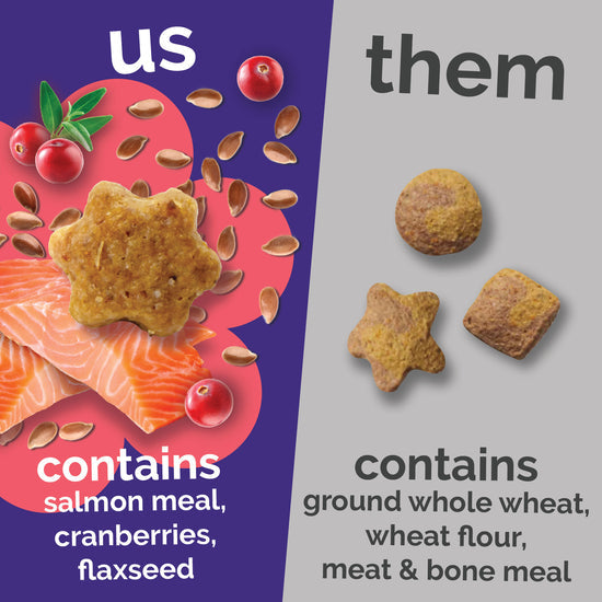 Fruitables Salmon Cranberry Cat Treats 2.5 oz