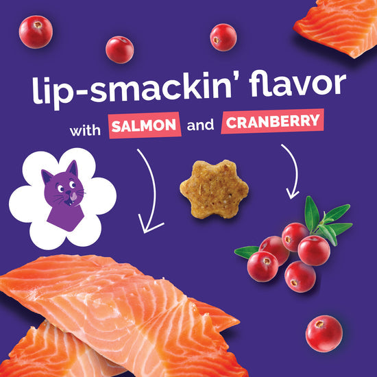 Fruitables Salmon Cranberry Cat Treats 2.5 oz