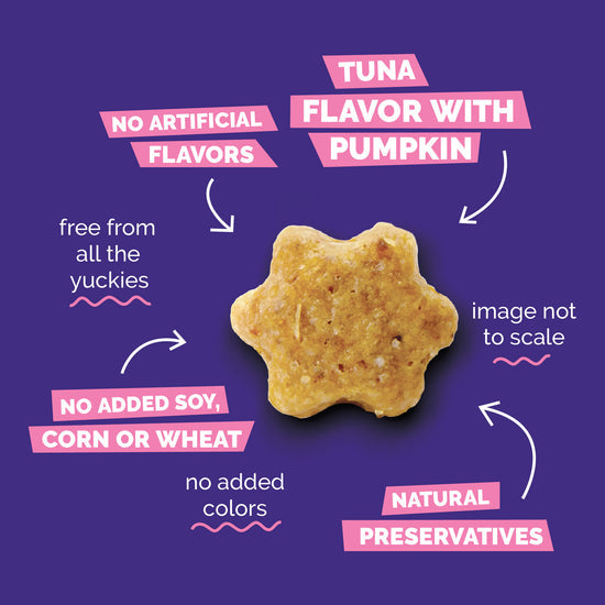 Fruitables Tuna Pumpkin Cat Treats 2.5 oz