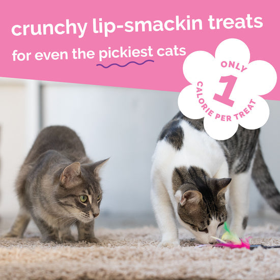 Fruitables Salmon Cranberry Cat Treats 2.5 oz