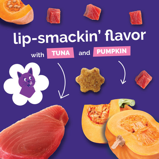 Fruitables Tuna Pumpkin Cat Treats 2.5 oz