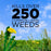 GreenView Broadleaf Weed Control + Lawn Fertilizer with GreenSmart