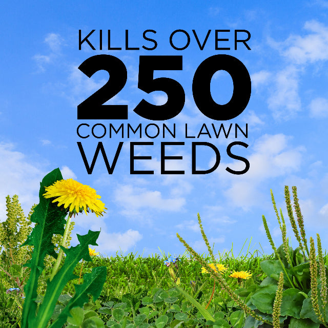 GreenView Broadleaf Weed Control + Lawn Fertilizer with GreenSmart