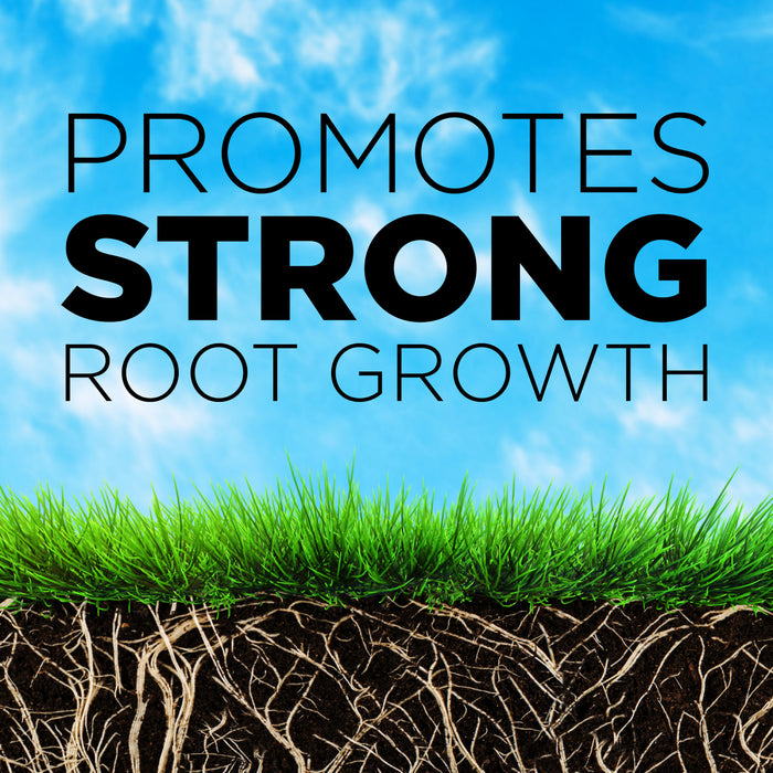 GreenView Crabgrass Control Plus Lawn Fertilizer