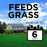 GreenView Crabgrass Control Plus Lawn Fertilizer