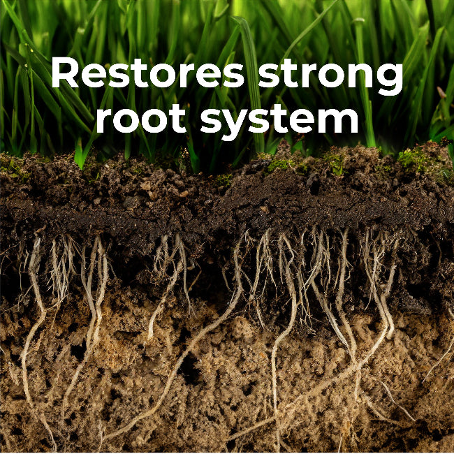 GreenView Premium Formula Fall Fertilizer