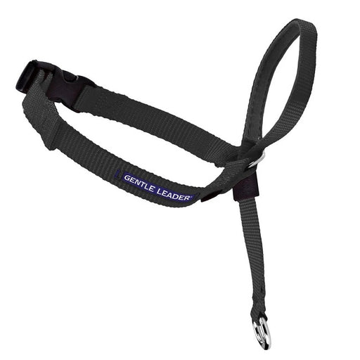 Gentle Leader® Head Collar for Dogs - Medium, Black