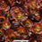 Fulda Glow Sedum, 1-Gallon