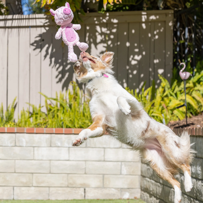 Slappies Piggie Smalls Dog Toy