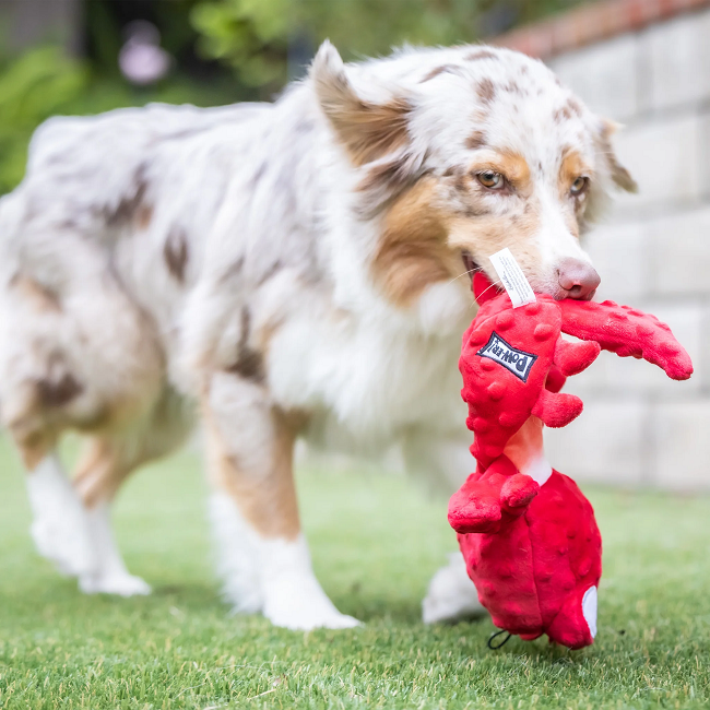 Slappies Claude Lobster Dog Toy