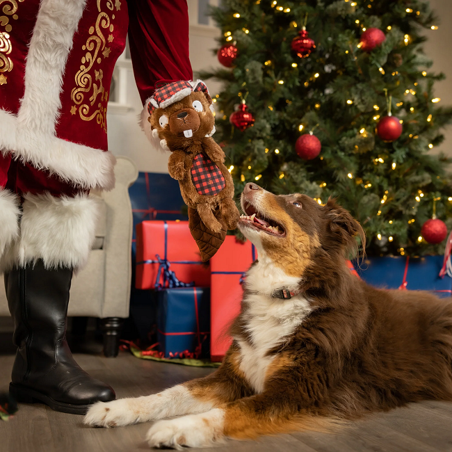 Slappies Ralphie Beaver Dog Toy
