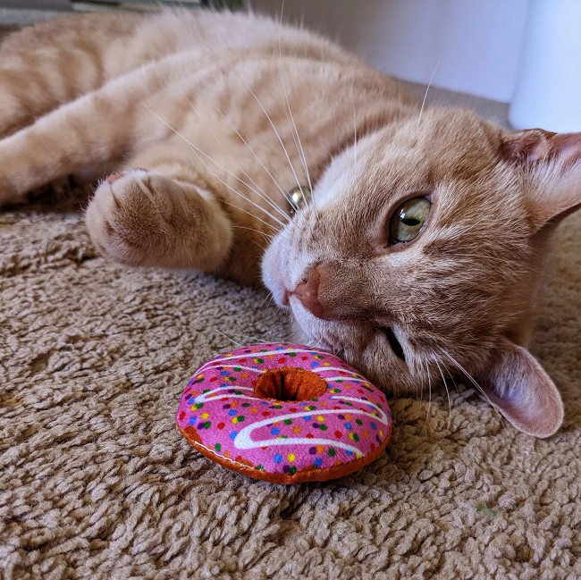 Strawberry Donut Cat Toy